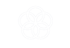 Partnerships to achieve the Goal