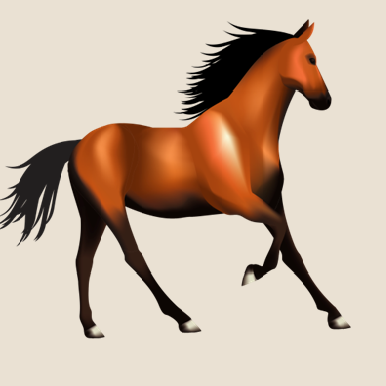 Horses